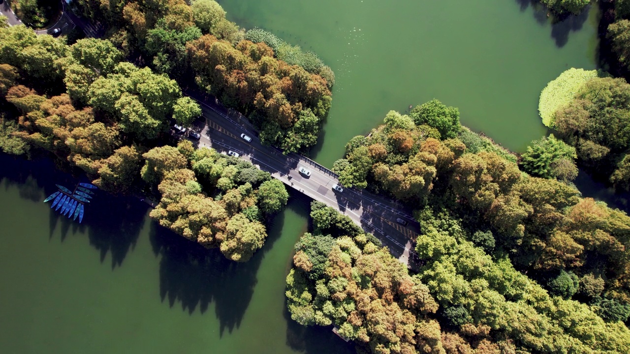 T/L通过湖和树木地区的道路鸟瞰图视频素材