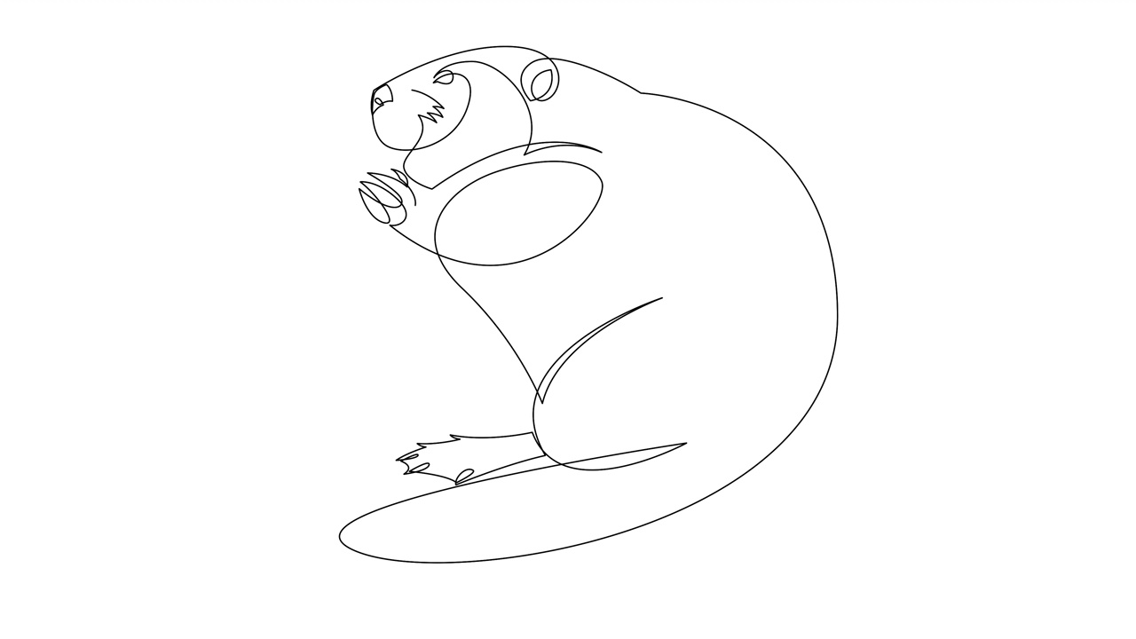 动画的单线画有趣的海狸为标志的身份。可爱有趣的啮齿动物吉祥物概念为宠物爱好者俱乐部图标。连续线自画动画。完整的运动。视频下载