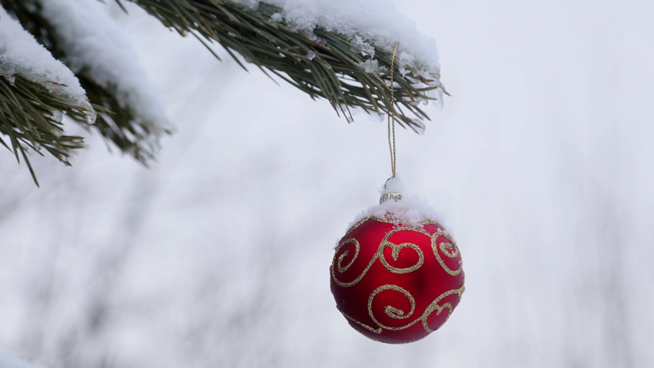 圣诞球挂在一棵冬季圣诞树上视频下载