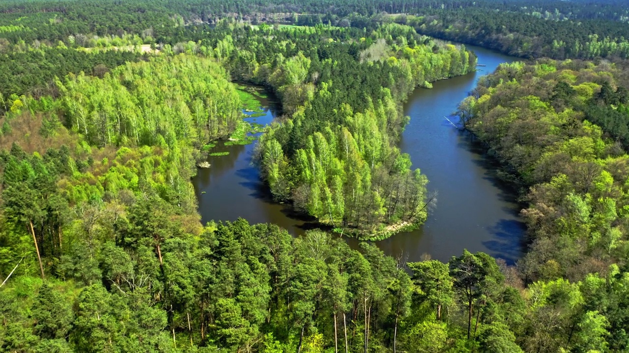 夏天的河流和绿色的森林。波兰鸟瞰图视频下载