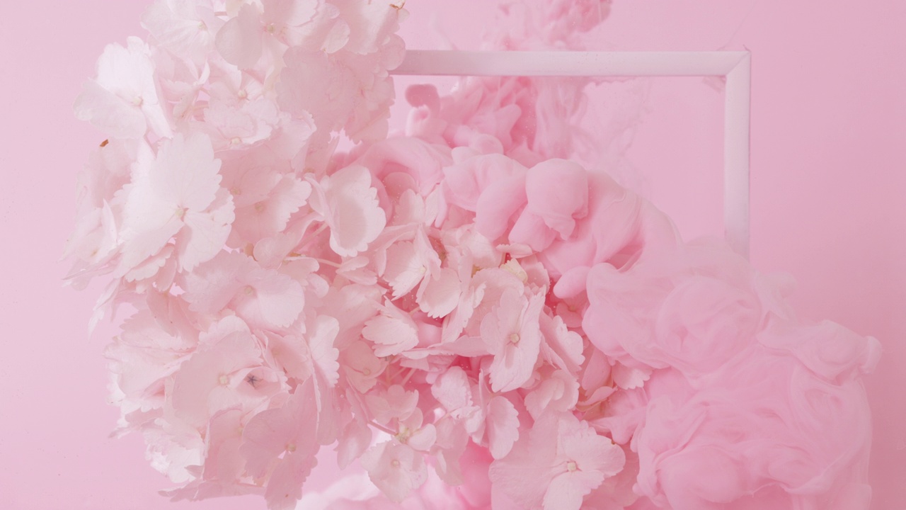 春天框架与花和丙烯酸墨水粉红色的水背景。美丽的慢动作构图视频下载
