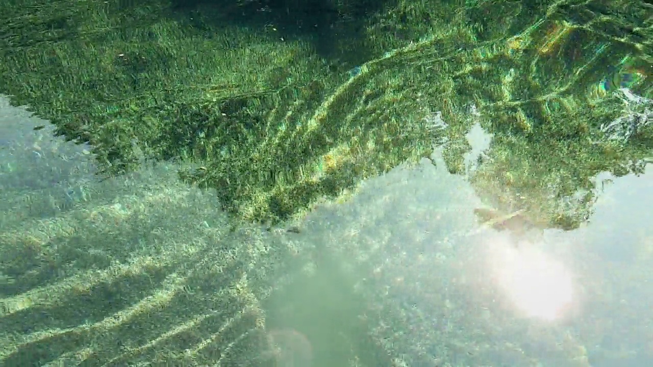 海底有石头和阳光视频下载