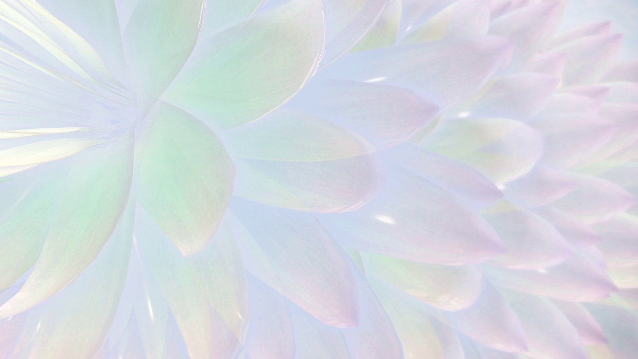 抽象的Lotus背景,视频素材