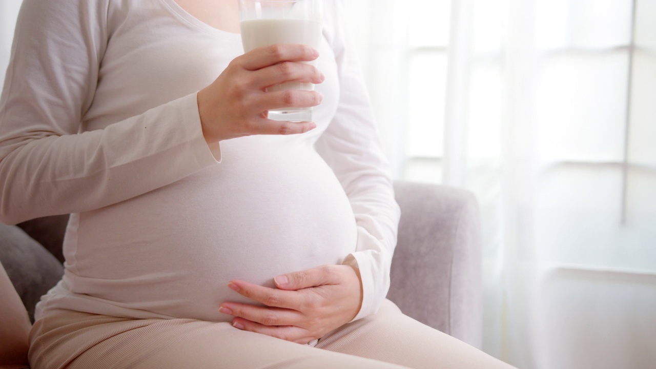 怀孕期间喝牛奶视频下载
