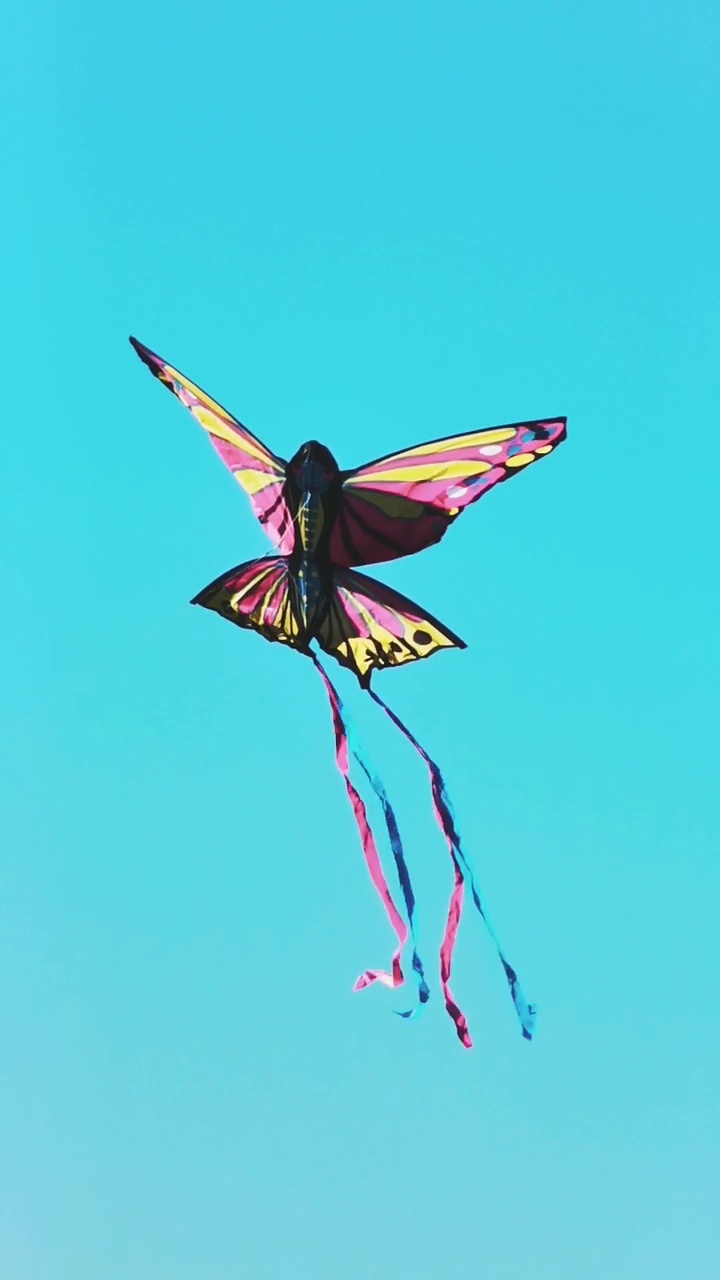 风筝在飞翔，蝴蝶是天使视频下载