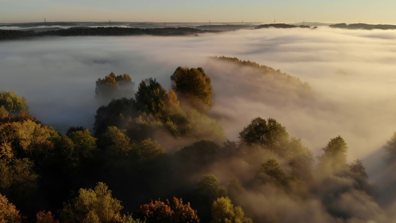 鸟瞰图。迷雾乡村的日出。神奇的地平线之雾。史诗般的惊人自然景观。日出时，雾和彩色树木的惊人鸟瞰图。秋天的雾景观。雄伟的雾森林视频下载
