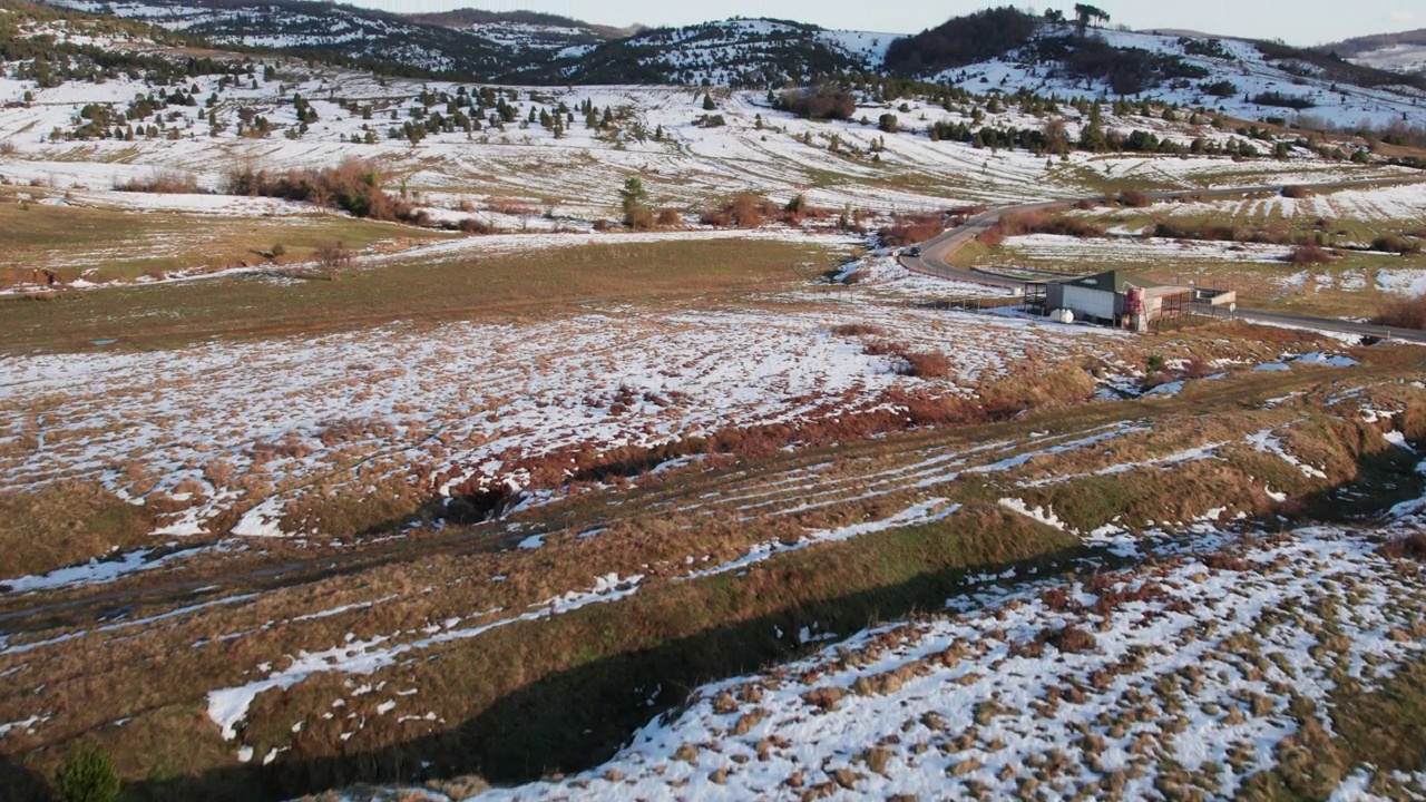 绵羊在雪原上吃草- 4K无人机镜头视频素材