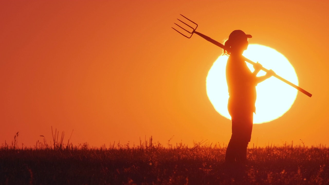 农夫或园丁的剪影与干草叉走过田野的背景橙色日落天空与大太阳，侧视图视频下载