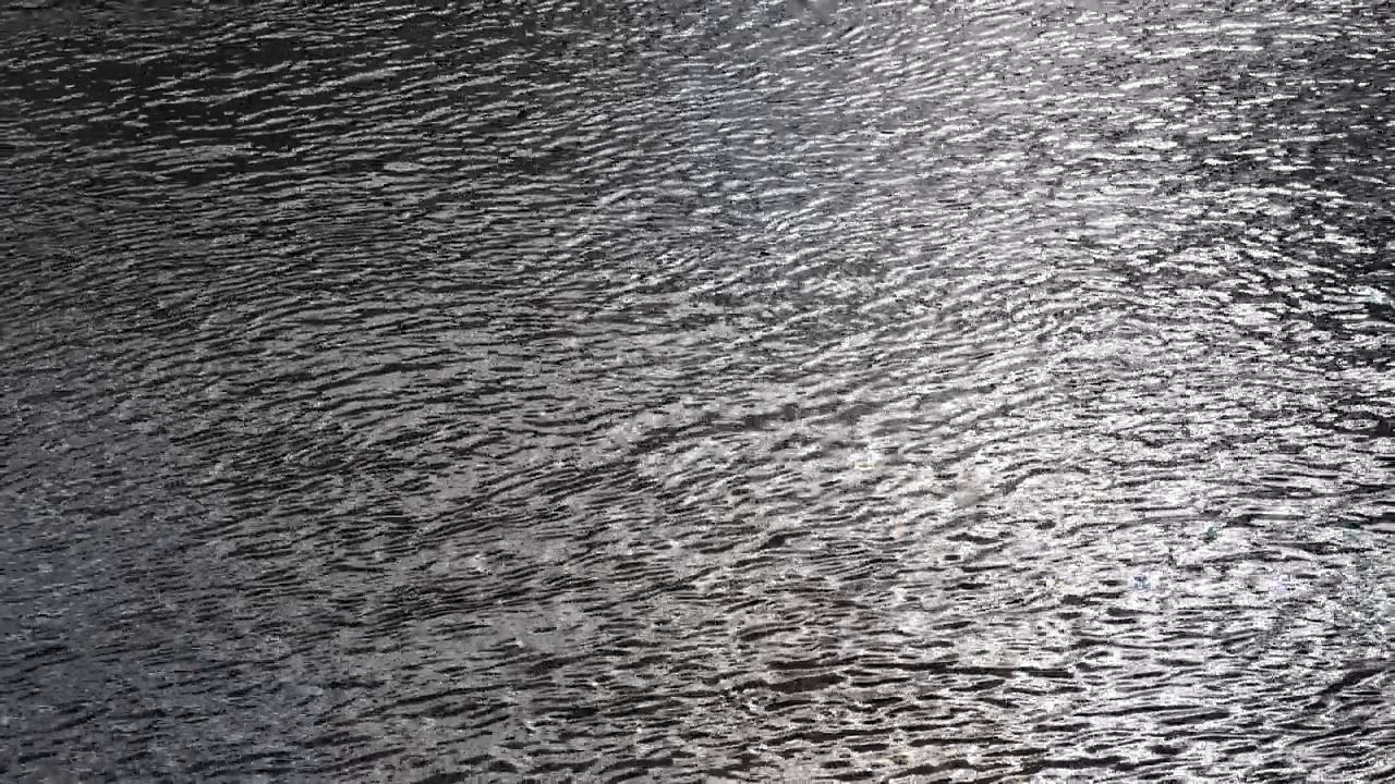 小波反射阳光在水面上的单色背景视频素材