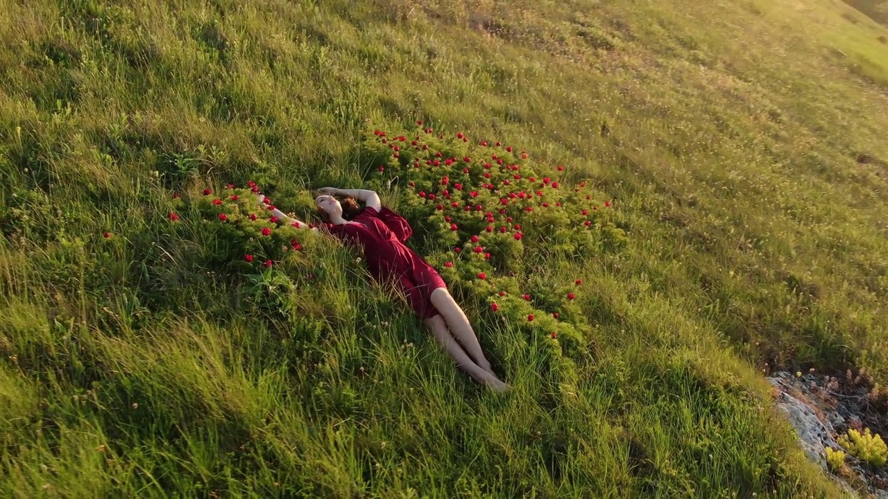 一个慢动作屏幕保护程序，一个年轻美丽的女人在一个红色的裙子躺在红色的野生牡丹草地的鸟瞰图。视频下载