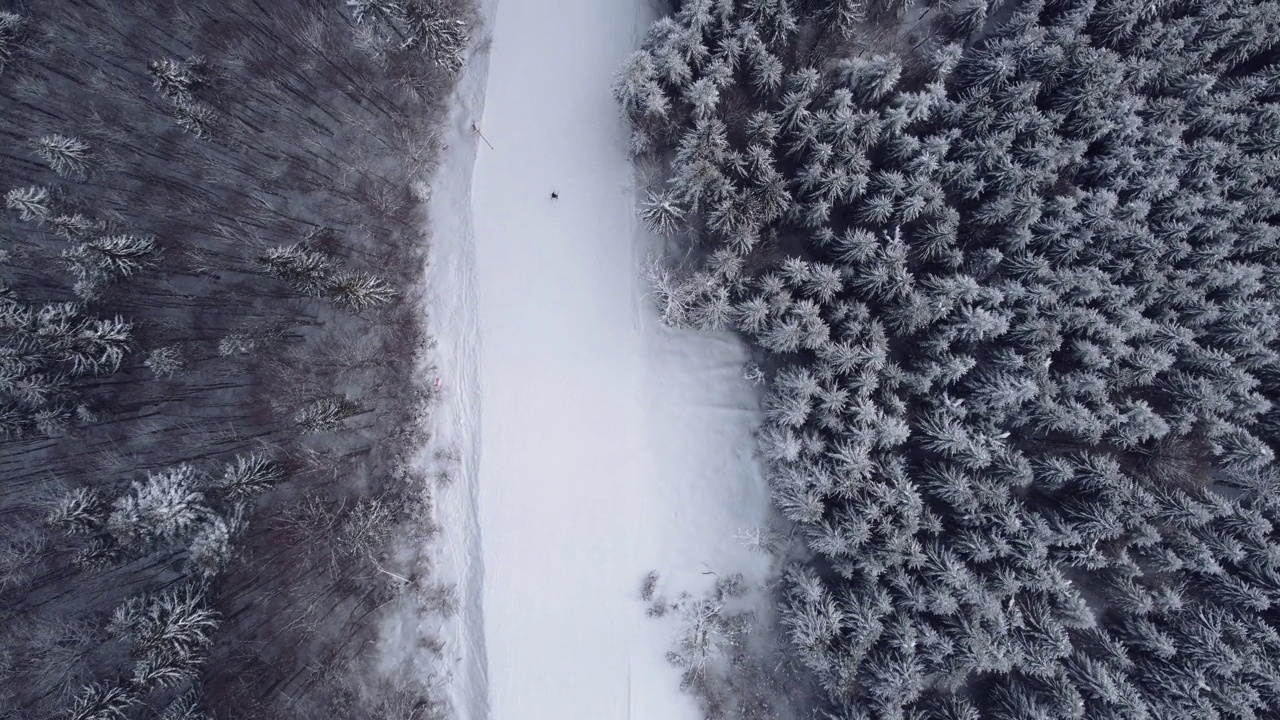 滑雪胜地的鸟瞰图，人们从山上滑雪，然后爬上电梯。视频素材
