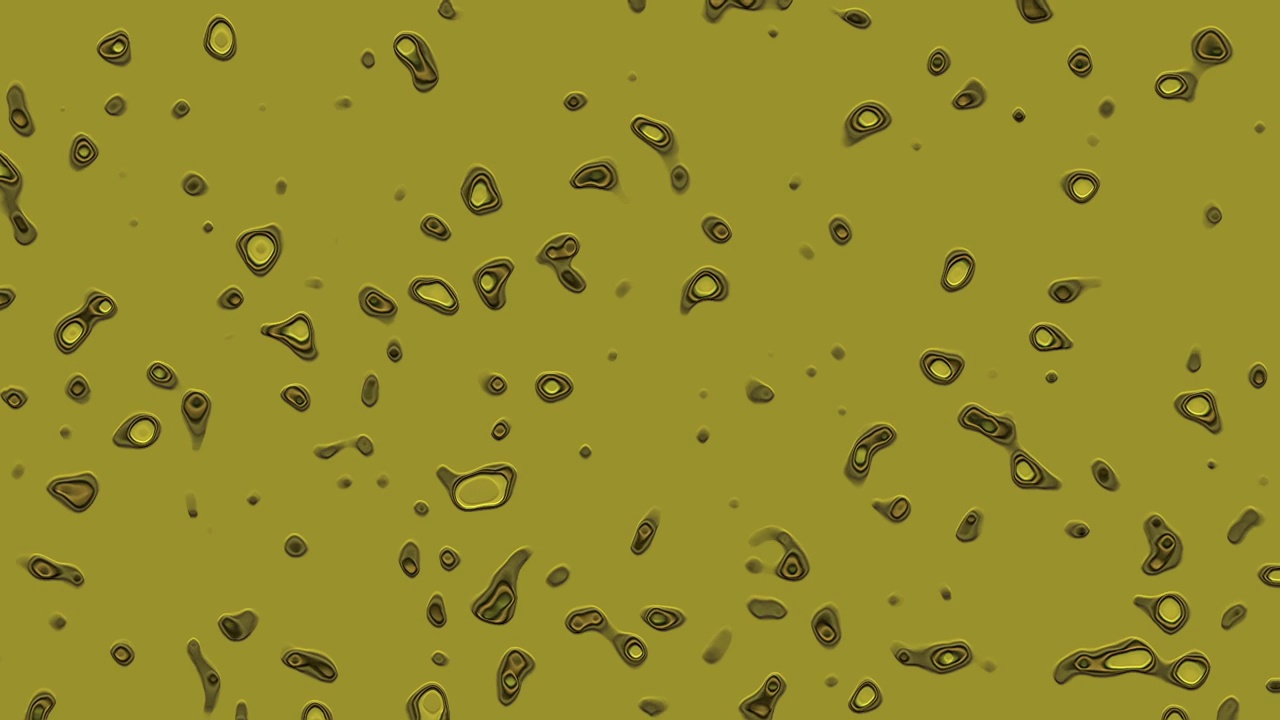 微生物-草履虫视频素材