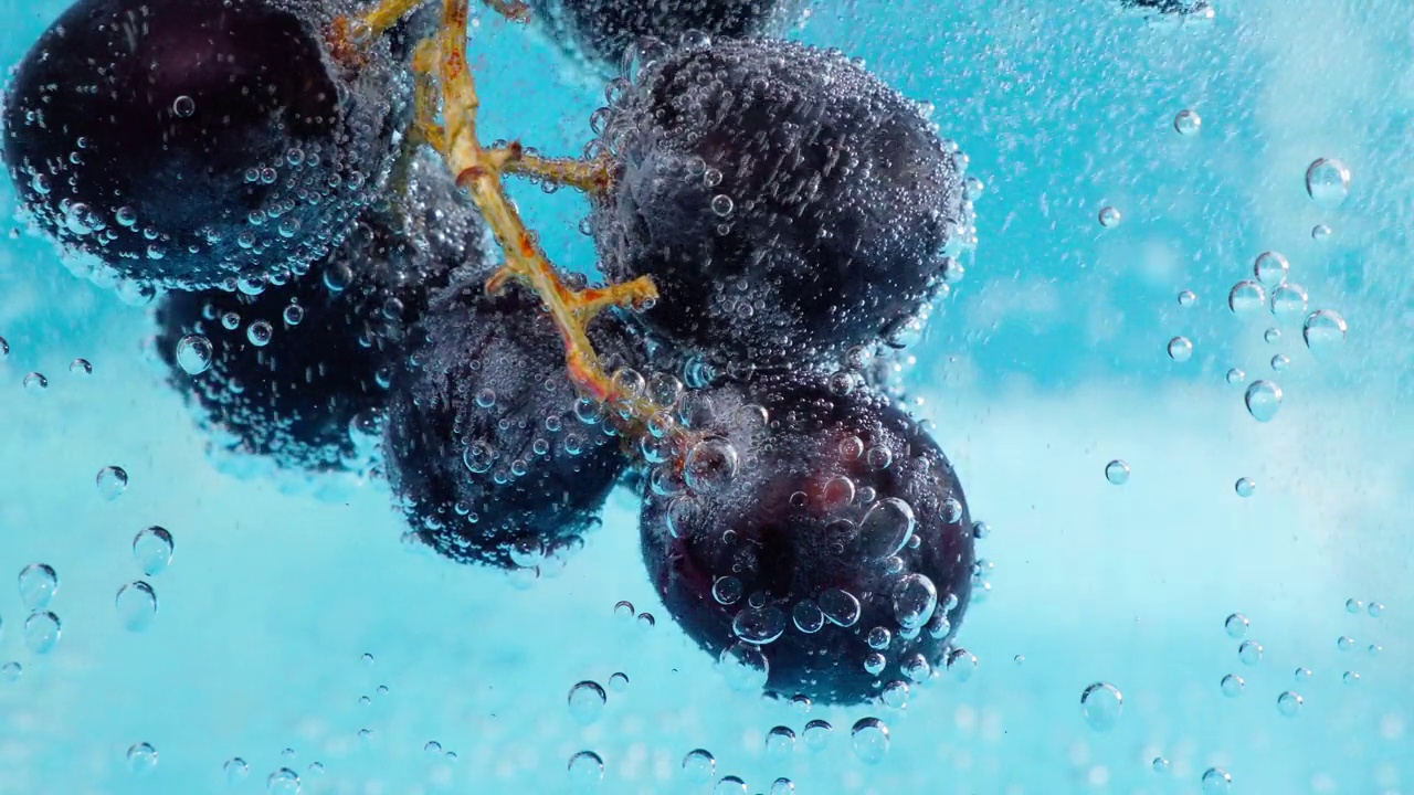 黑葡萄果实水下，选择性聚焦，宏观。健康的生活方式。复合维生素鸡尾酒。夏天的饮食视频下载