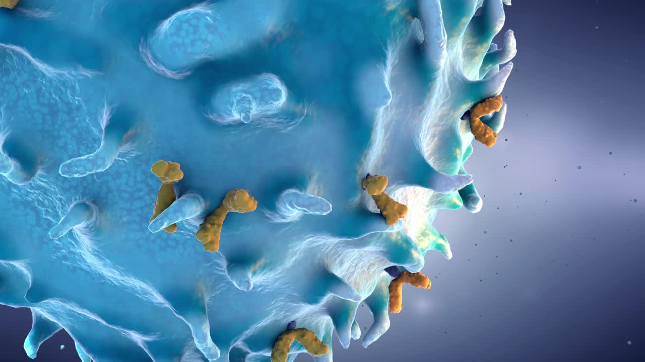 嵌合淋巴细胞周围的飞行，免疫系统中的白细胞类型- 3d插图视频下载
