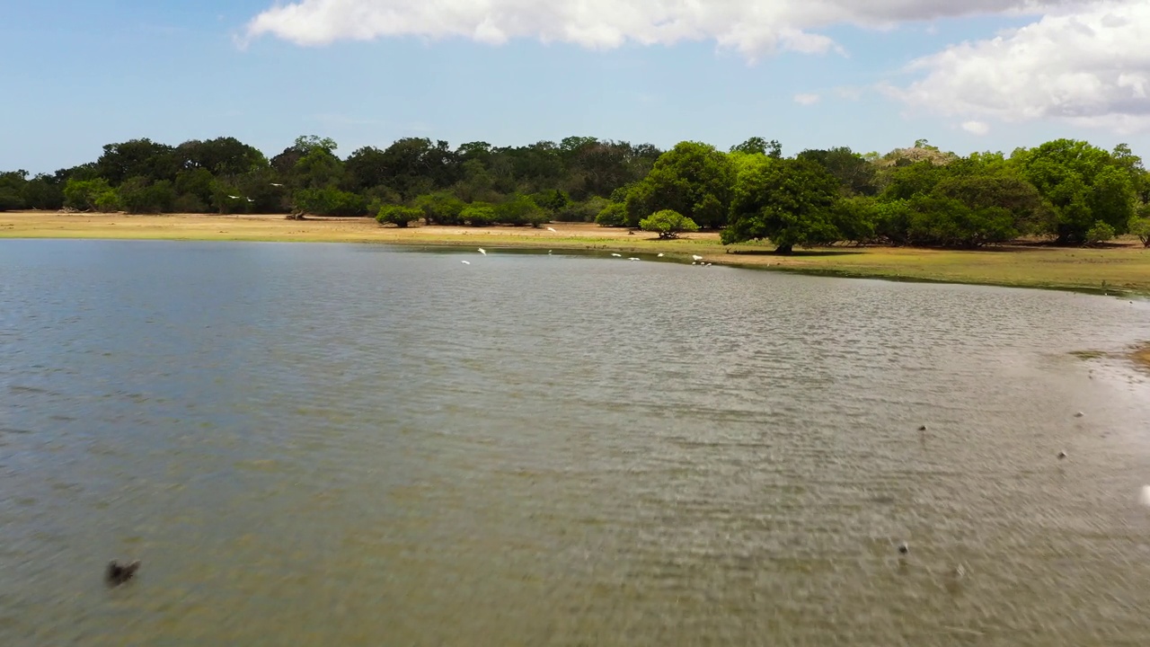 有湖和鸟的热带景观。斯里兰卡视频素材