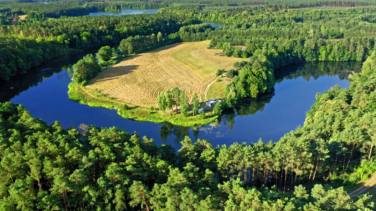 日出时的绿色森林和蜿蜒的河流，波兰，鸟瞰图视频下载