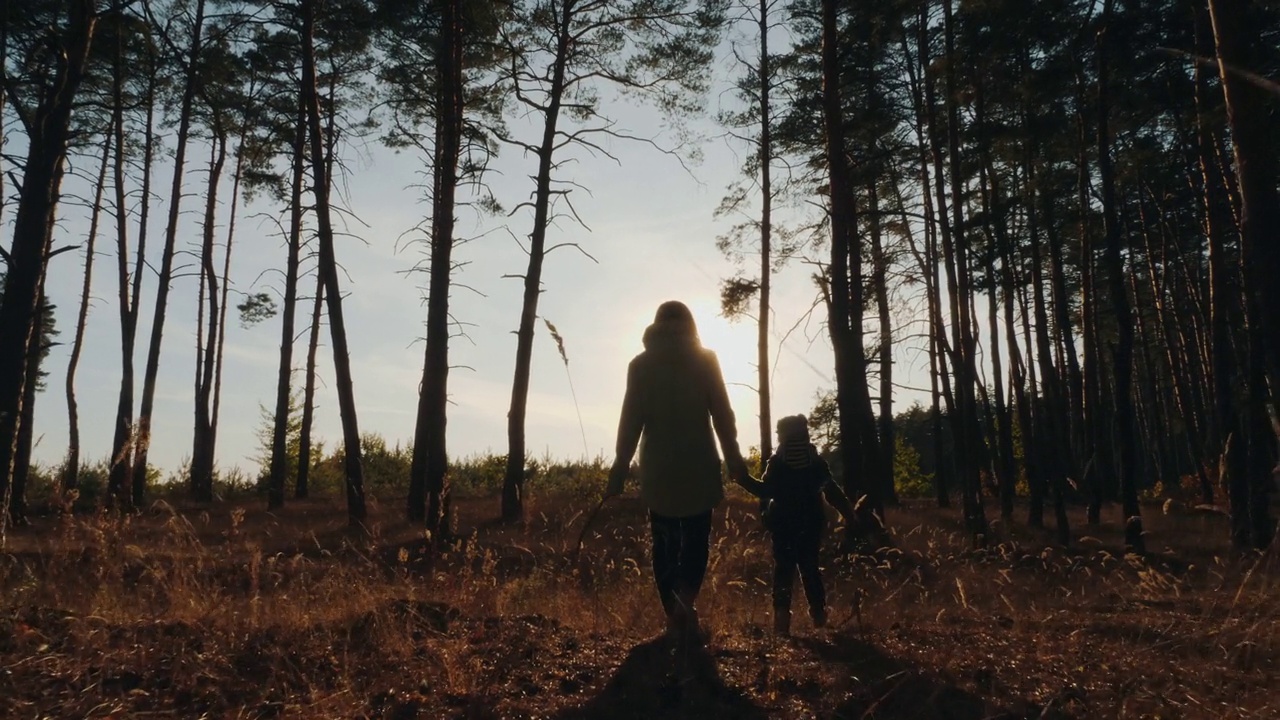 一个女人和一个孩子的剪影穿过森林视频素材