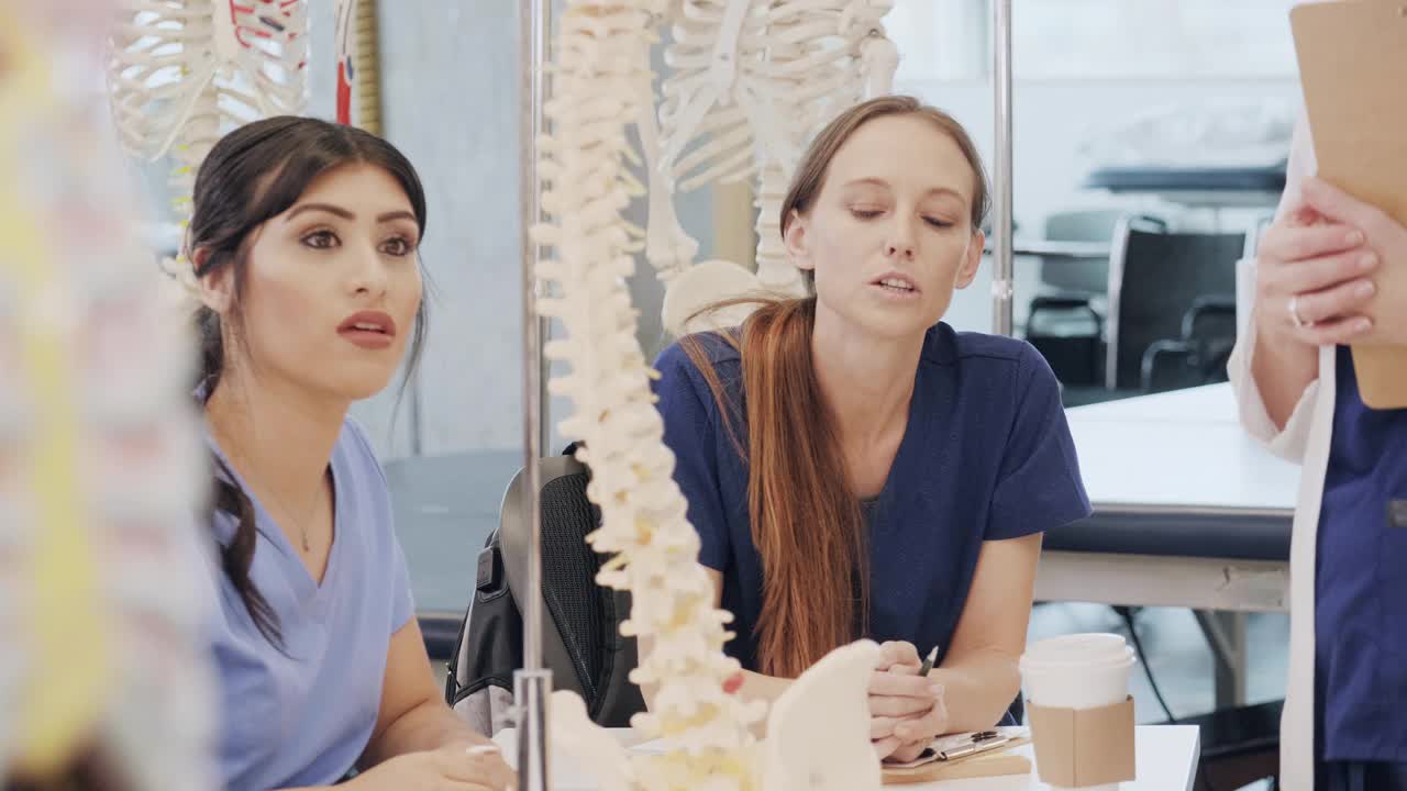 医学或护理专业的学生学习人体脊柱模型视频素材