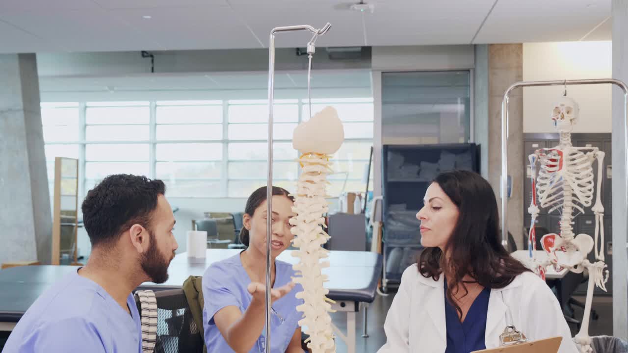 医学生组在人体脊柱模型上检查脊椎视频素材