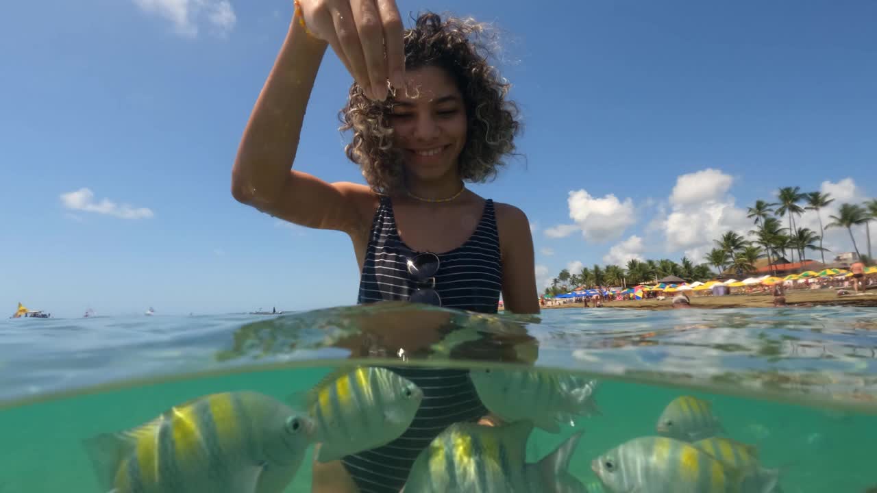 在热带海滩上喂鱼的年轻女子视频下载