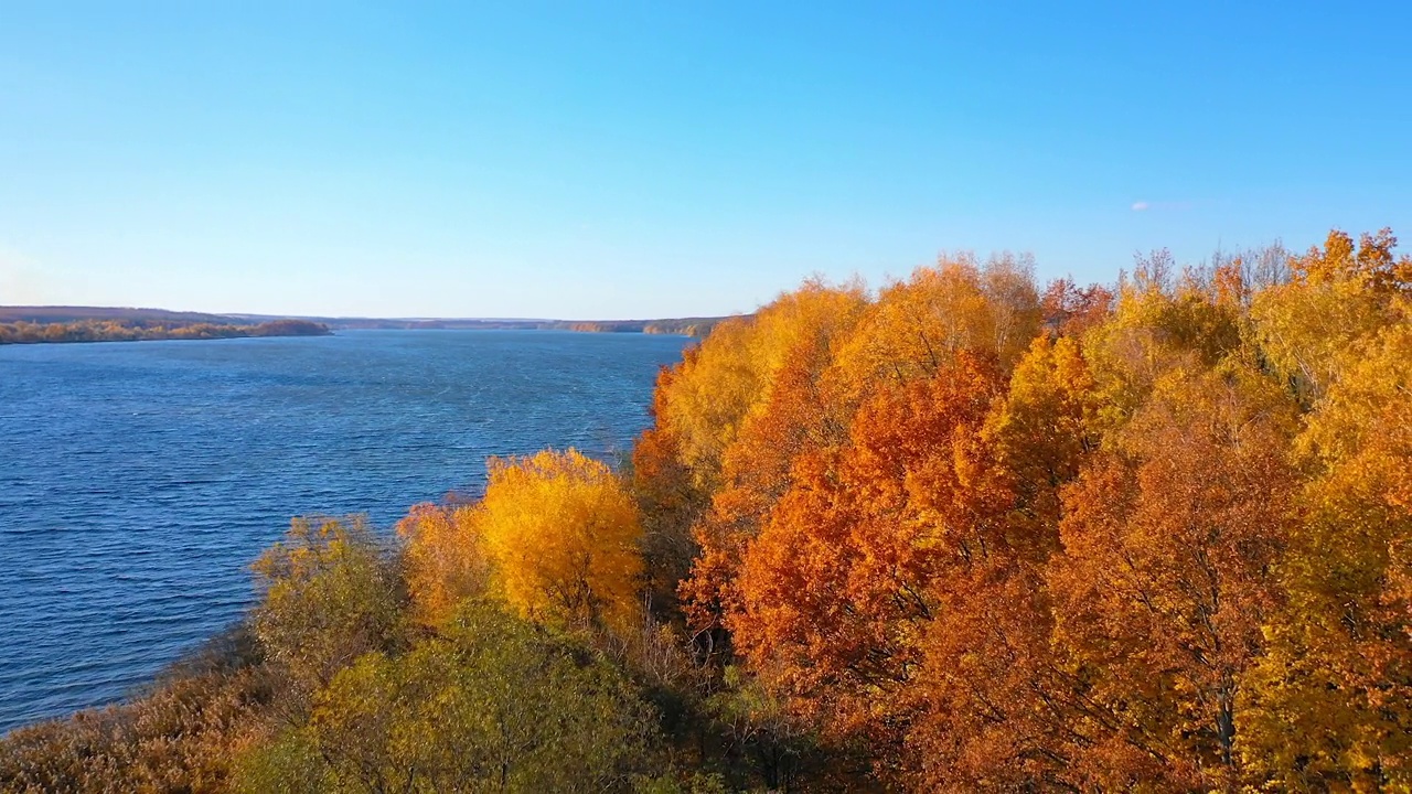蓝色湖泊附近有令人惊叹的金色树木。晴朗的天空下美丽的秋景。宽阔的蓝色河流在乡村。视频素材