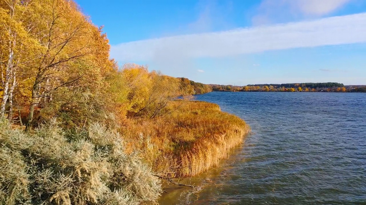 秋天，湖边的金树颜色鲜艳。乡村的自然景观令人惊叹。美丽的大自然在秋天。视频素材