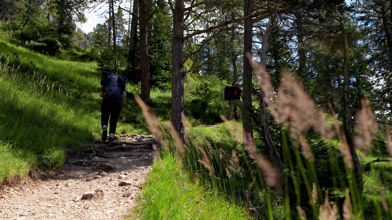 一个女人在多洛米蒂森林里独自徒步视频下载