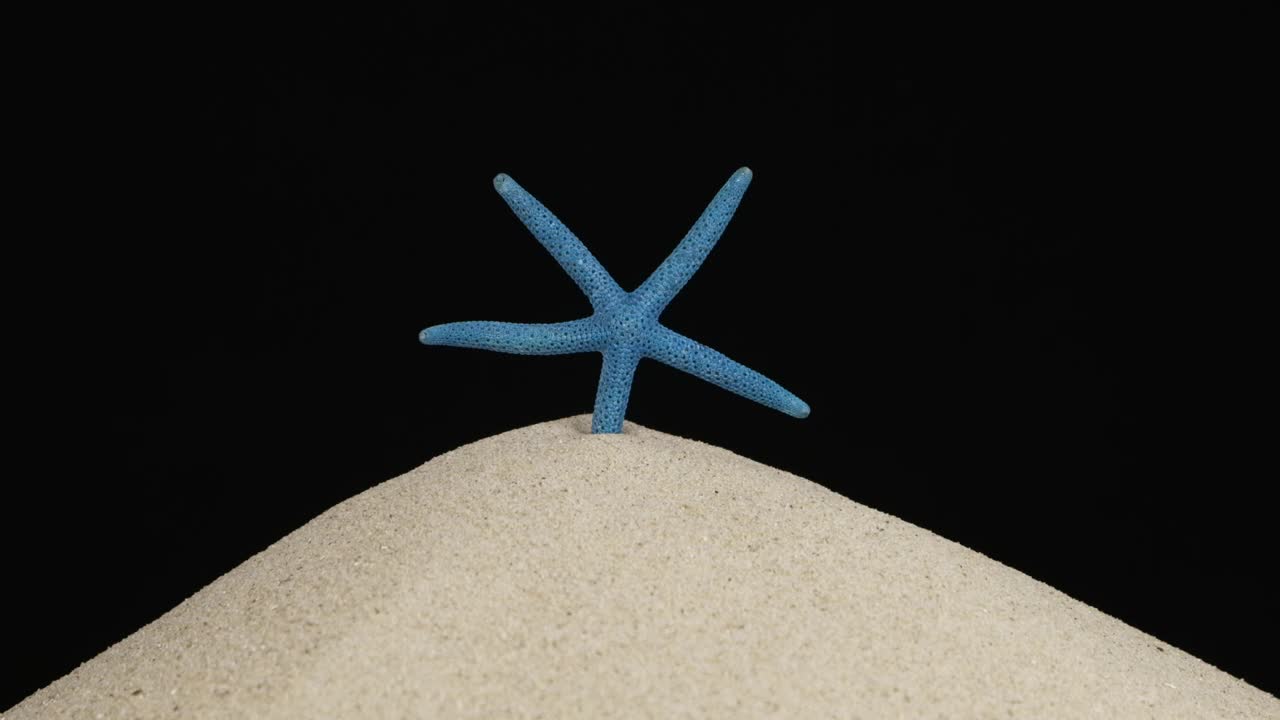 缓慢的运动。海星站在一堆沙子上，沙子落在海星身上。海星在沙子的压力下坠落。孤立的视频下载