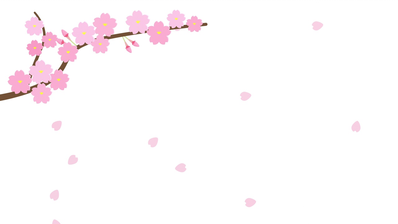跳舞的樱花枝动画白色背景视频素材