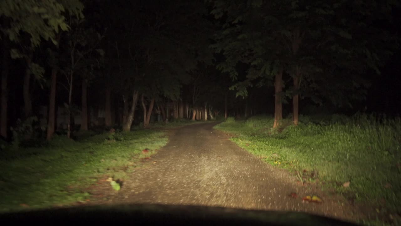 热带雨林的乡村公路夜景视频下载