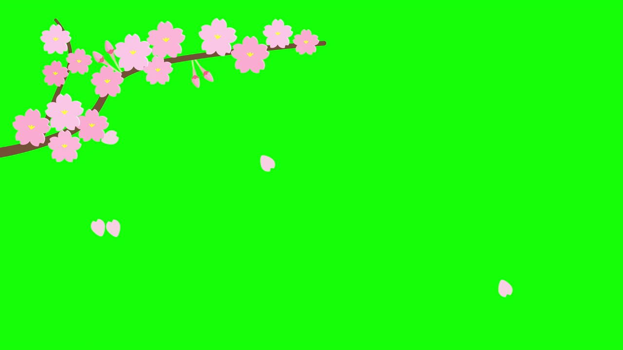 动画舞动的樱花枝，绿色背景视频素材