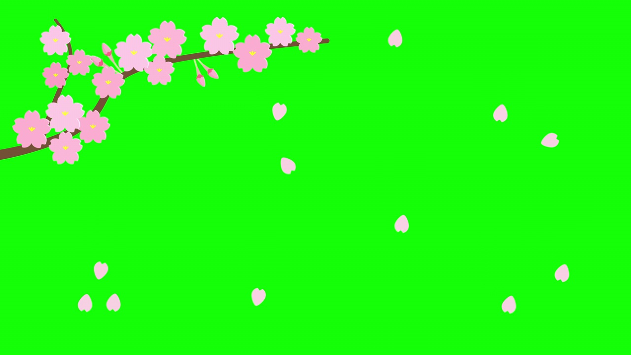 动画舞动的樱花枝，绿色背景视频素材