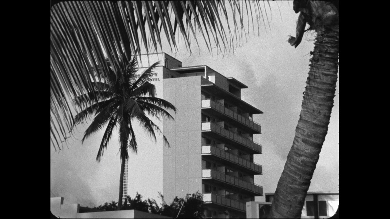 檀香山威基基海滨的WS酒店和棕榈树;1965视频下载