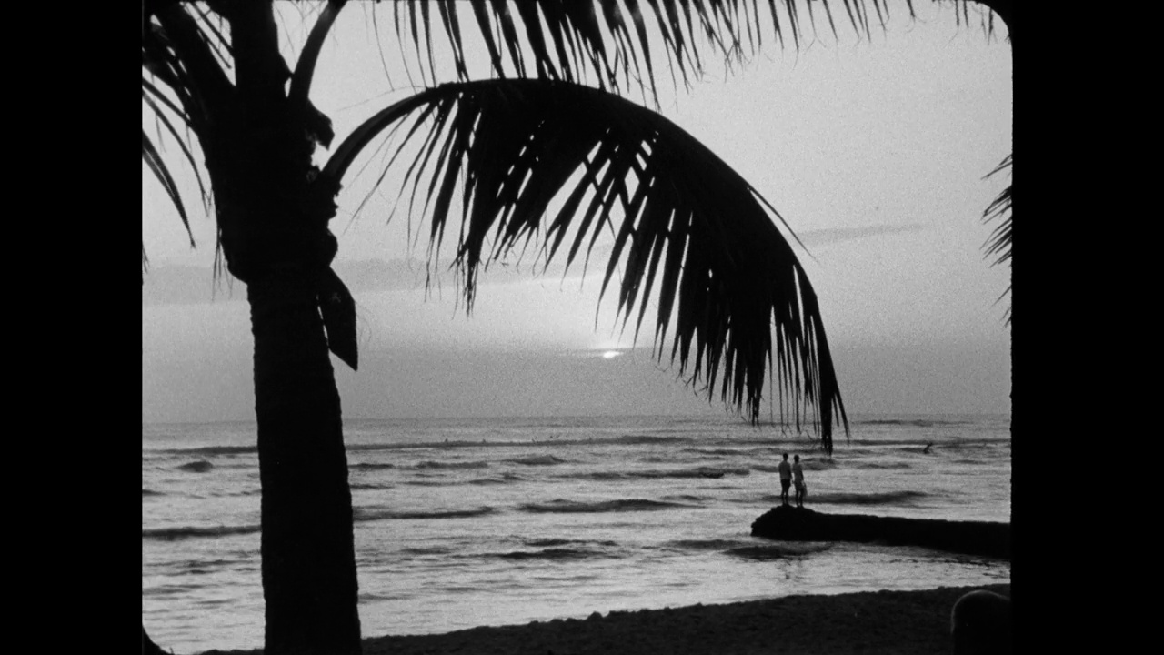 WS人在夏威夷海滩的防波堤上观看日落;1964视频下载