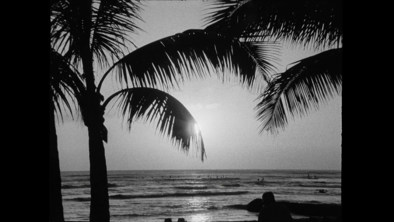 夏威夷日落时棕榈树的剪影;1964视频下载