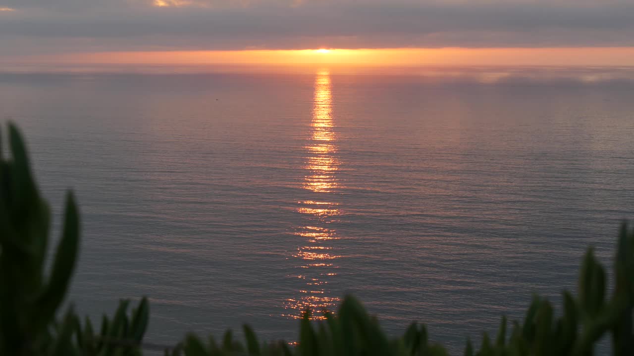 戏剧性的日落、天空和云彩。托里松树，加利福尼亚海岸，海水视频下载