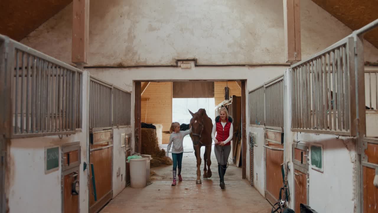 妈妈和她的小女儿牵着一匹马回到马厩视频下载