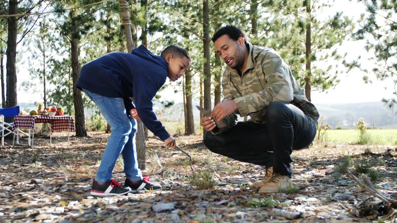 父亲和儿子在阳光明媚的树林里的营地外拾柴引火视频下载