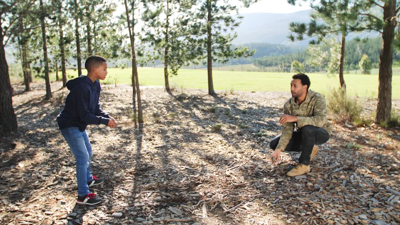 活泼的父亲和儿子在阳光明媚的营地打棒球和岩石在森林视频下载
