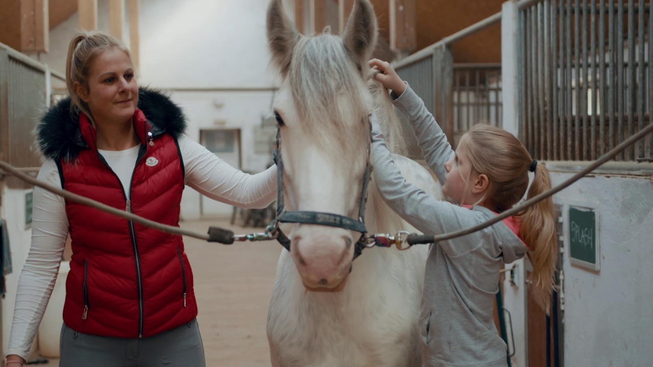 女孩和她的妈妈在马厩里为一匹马梳理毛发视频素材
