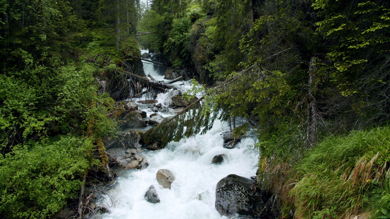 Stubai,奥地利。在格洛瓦瀑布附近的森林里，山间雾河与倒下的树木和蓝色的雪融化的水。视频下载