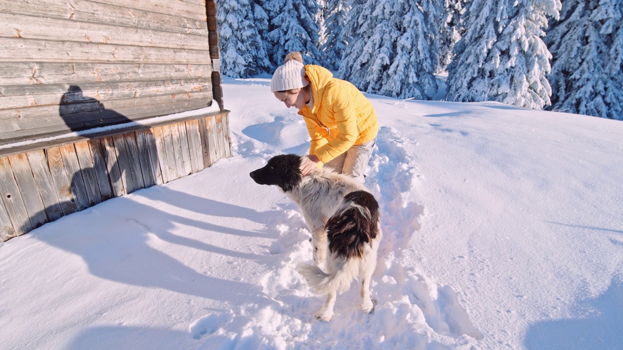 宠物的爱。女人和狗在冬天的雪地里玩耍。视频下载