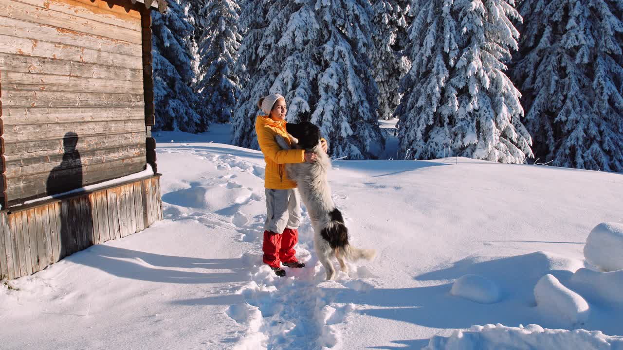 宠物的爱。女人和狗在冬天的雪地里玩耍。视频素材