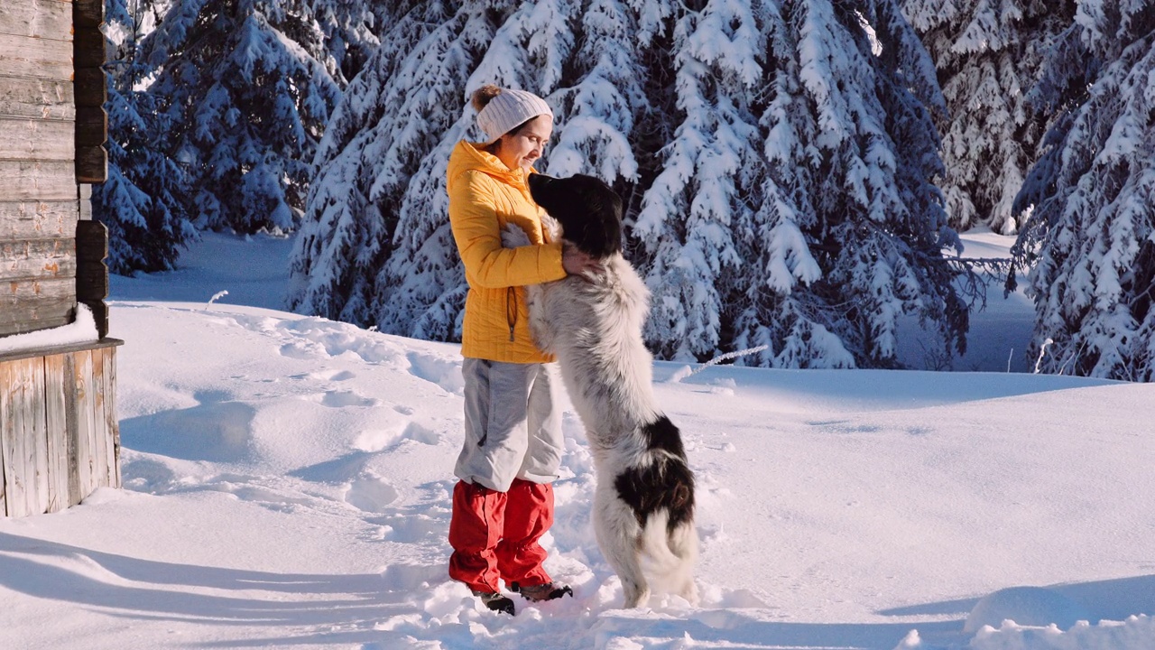 宠物的爱。女人和狗在冬天的雪地里玩耍。视频素材