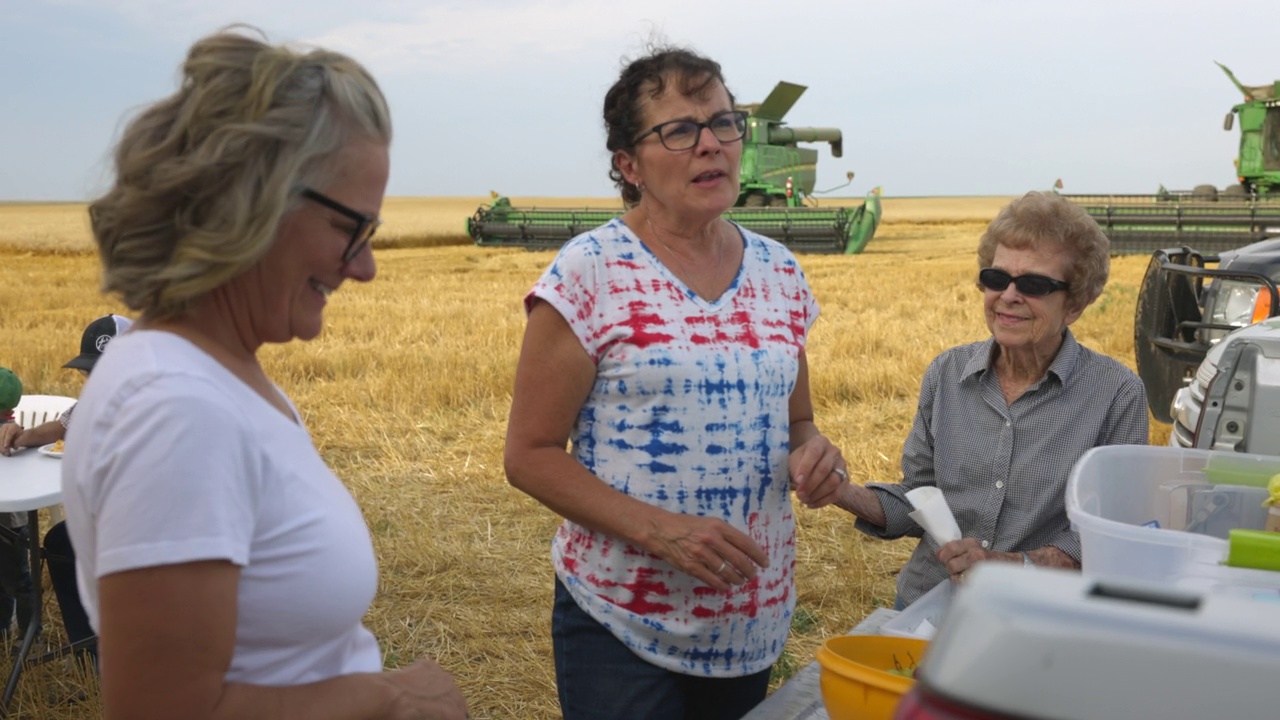 中景拍摄的是收获季节的麦田里，女农民在晚餐时端上盘子视频下载