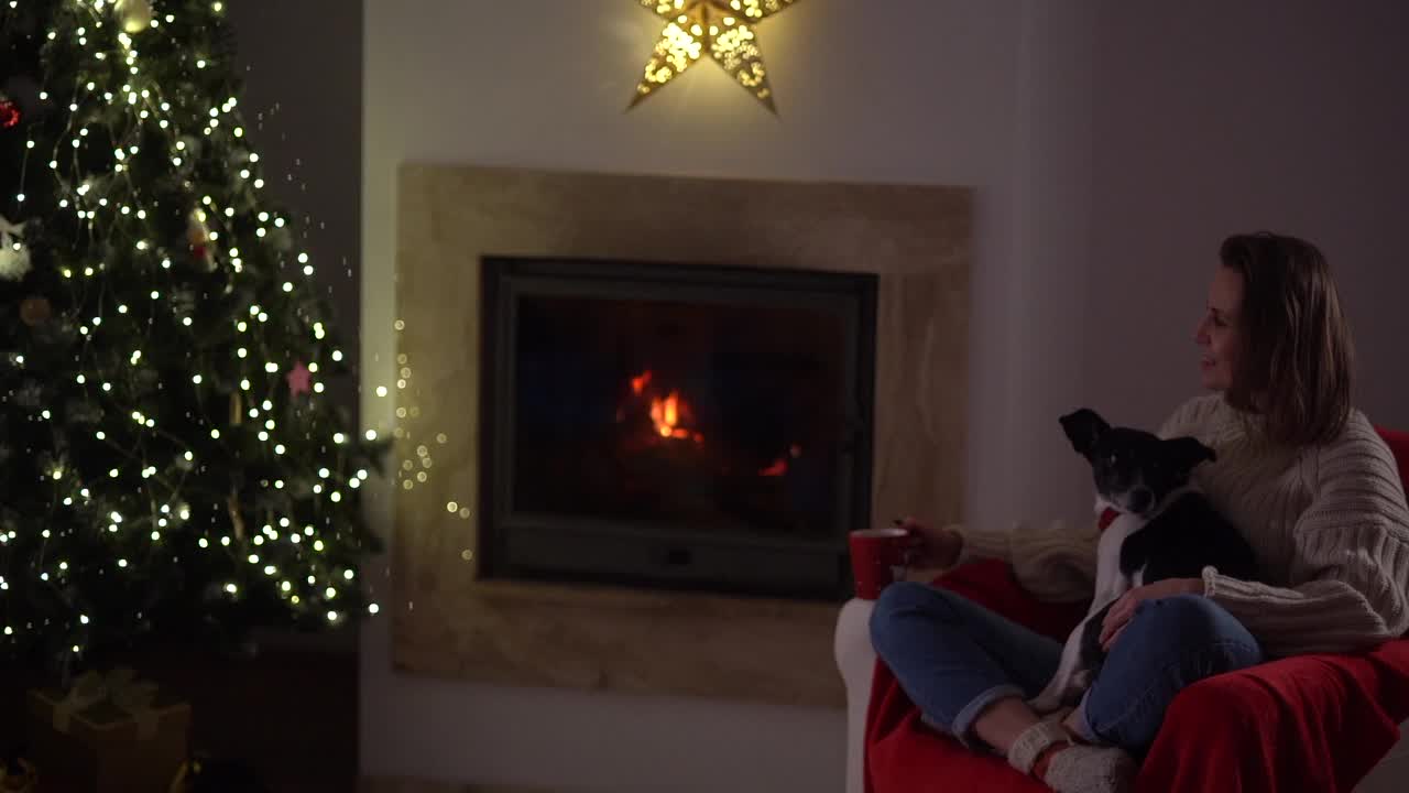 在一间为圣诞节而装饰的房间里，一个穿着暖和毛衣的女孩坐在壁炉旁的扶手椅上。一个女人和她的狗独自庆祝圣诞节视频下载