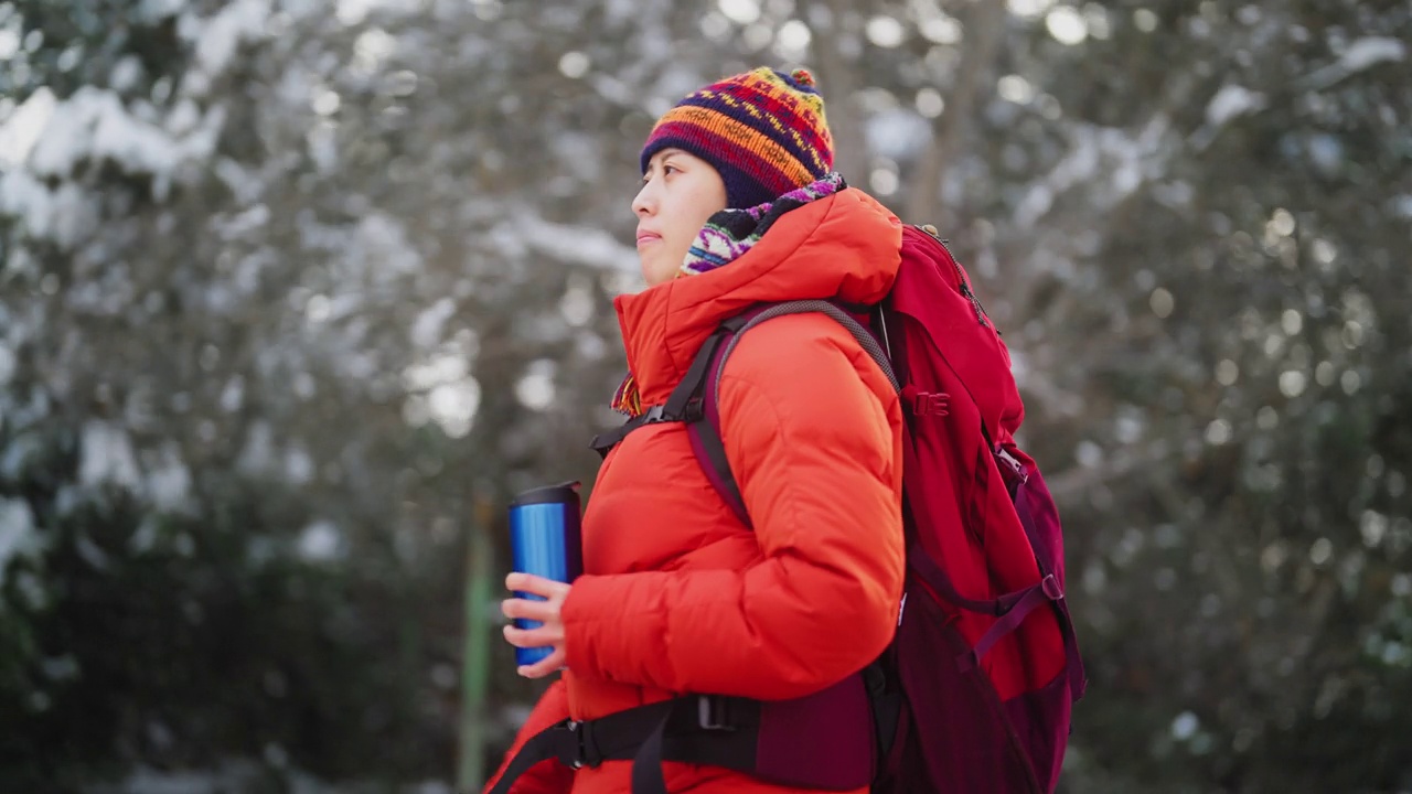 女性背包客在冬天的森林里的肖像视频素材