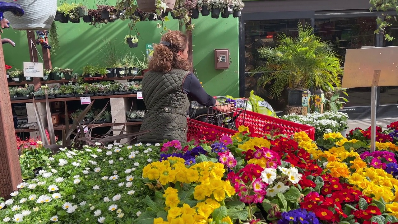 微笑的成熟女人买植物和鲜花视频素材