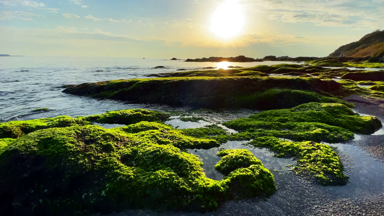 海滩上的日落海景和岩石上的海藻视频下载