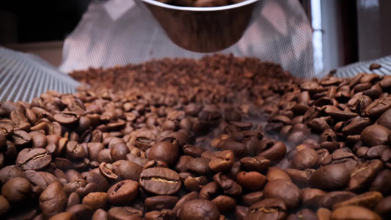 咖啡种子的特写。香喷喷的咖啡豆是用咖啡豆烘烤而成的烟。视频下载